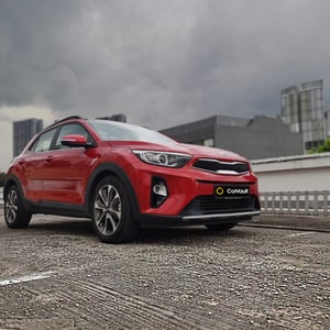 kiastonic1