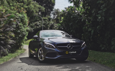 Car along lane with lush greenery on its sides
